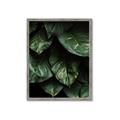 Picture of Jungle Leaves  _GroupedProduct_Rectangle_Portrait_Photography _GroupedProduct_Rectangle_Portrait_Framed_Matted_