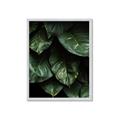 Picture of Jungle Leaves  _GroupedProduct_Rectangle_Portrait_Photography _GroupedProduct_Rectangle_Portrait_Framed_Matted_