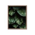 Picture of Jungle Leaves  _GroupedProduct_Rectangle_Portrait_Photography _GroupedProduct_Rectangle_Portrait_Framed_Matted_