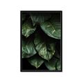 Picture of Jungle Leaves  _GroupedProduct_Rectangle_Portrait_Photography _GroupedProduct_Rectangle_Portrait_Framed_Matted_