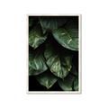 Picture of Jungle Leaves  _GroupedProduct_Rectangle_Portrait_Photography _GroupedProduct_Rectangle_Portrait_Framed_Matted_
