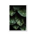 Picture of Jungle Leaves  _GroupedProduct_Rectangle_Portrait_Photography _GroupedProduct_Rectangle_Portrait_Framed_Matted_