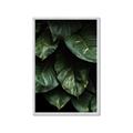 Picture of Jungle Leaves  _GroupedProduct_Rectangle_Portrait_Photography _GroupedProduct_Rectangle_Portrait_Framed_Matted_