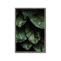 Picture of Jungle Leaves  _GroupedProduct_Rectangle_Portrait_Photography _GroupedProduct_Rectangle_Portrait_Framed_Matted_