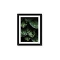 Picture of Jungle Leaves  _GroupedProduct_Rectangle_Portrait_Photography _GroupedProduct_Rectangle_Portrait_Framed_Matted_