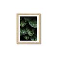 Picture of Jungle Leaves  _GroupedProduct_Rectangle_Portrait_Photography _GroupedProduct_Rectangle_Portrait_Framed_Matted_
