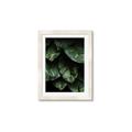 Picture of Jungle Leaves  _GroupedProduct_Rectangle_Portrait_Photography _GroupedProduct_Rectangle_Portrait_Framed_Matted_