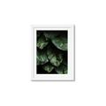 Picture of Jungle Leaves  _GroupedProduct_Rectangle_Portrait_Photography _GroupedProduct_Rectangle_Portrait_Framed_Matted_
