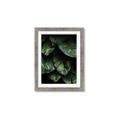Picture of Jungle Leaves  _GroupedProduct_Rectangle_Portrait_Photography _GroupedProduct_Rectangle_Portrait_Framed_Matted_