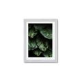 Picture of Jungle Leaves  _GroupedProduct_Rectangle_Portrait_Photography _GroupedProduct_Rectangle_Portrait_Framed_Matted_