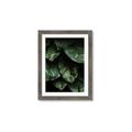 Picture of Jungle Leaves  _GroupedProduct_Rectangle_Portrait_Photography _GroupedProduct_Rectangle_Portrait_Framed_Matted_
