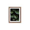 Picture of Jungle Leaves  _GroupedProduct_Rectangle_Portrait_Photography _GroupedProduct_Rectangle_Portrait_Framed_Matted_