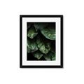 Picture of Jungle Leaves  _GroupedProduct_Rectangle_Portrait_Photography _GroupedProduct_Rectangle_Portrait_Framed_Matted_