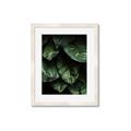 Picture of Jungle Leaves  _GroupedProduct_Rectangle_Portrait_Photography _GroupedProduct_Rectangle_Portrait_Framed_Matted_