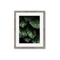 Picture of Jungle Leaves  _GroupedProduct_Rectangle_Portrait_Photography _GroupedProduct_Rectangle_Portrait_Framed_Matted_