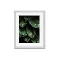 Picture of Jungle Leaves  _GroupedProduct_Rectangle_Portrait_Photography _GroupedProduct_Rectangle_Portrait_Framed_Matted_