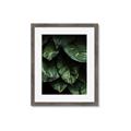 Picture of Jungle Leaves  _GroupedProduct_Rectangle_Portrait_Photography _GroupedProduct_Rectangle_Portrait_Framed_Matted_