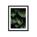 Picture of Jungle Leaves  _GroupedProduct_Rectangle_Portrait_Photography _GroupedProduct_Rectangle_Portrait_Framed_Matted_