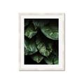 Picture of Jungle Leaves  _GroupedProduct_Rectangle_Portrait_Photography _GroupedProduct_Rectangle_Portrait_Framed_Matted_