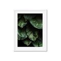 Picture of Jungle Leaves  _GroupedProduct_Rectangle_Portrait_Photography _GroupedProduct_Rectangle_Portrait_Framed_Matted_