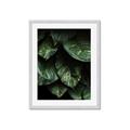 Picture of Jungle Leaves  _GroupedProduct_Rectangle_Portrait_Photography _GroupedProduct_Rectangle_Portrait_Framed_Matted_
