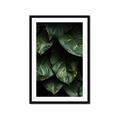 Picture of Jungle Leaves  _GroupedProduct_Rectangle_Portrait_Photography _GroupedProduct_Rectangle_Portrait_Framed_Matted_