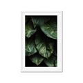 Picture of Jungle Leaves  _GroupedProduct_Rectangle_Portrait_Photography _GroupedProduct_Rectangle_Portrait_Framed_Matted_