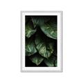 Picture of Jungle Leaves  _GroupedProduct_Rectangle_Portrait_Photography _GroupedProduct_Rectangle_Portrait_Framed_Matted_