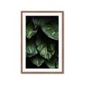 Picture of Jungle Leaves  _GroupedProduct_Rectangle_Portrait_Photography _GroupedProduct_Rectangle_Portrait_Framed_Matted_