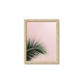 Picture of Leaves on Pink _GroupedProduct_Rectangle_Portrait_Photography _GroupedProduct_Rectangle_Portrait_Framed_Matted_