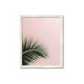 Picture of Leaves on Pink _GroupedProduct_Rectangle_Portrait_Photography _GroupedProduct_Rectangle_Portrait_Framed_Matted_