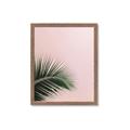 Picture of Leaves on Pink _GroupedProduct_Rectangle_Portrait_Photography _GroupedProduct_Rectangle_Portrait_Framed_Matted_