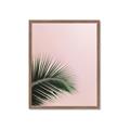 Picture of Leaves on Pink _GroupedProduct_Rectangle_Portrait_Photography _GroupedProduct_Rectangle_Portrait_Framed_Matted_