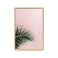Picture of Leaves on Pink _GroupedProduct_Rectangle_Portrait_Photography _GroupedProduct_Rectangle_Portrait_Framed_Matted_