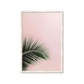 Picture of Leaves on Pink _GroupedProduct_Rectangle_Portrait_Photography _GroupedProduct_Rectangle_Portrait_Framed_Matted_