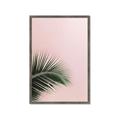 Picture of Leaves on Pink _GroupedProduct_Rectangle_Portrait_Photography _GroupedProduct_Rectangle_Portrait_Framed_Matted_
