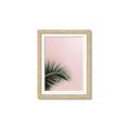 Picture of Leaves on Pink _GroupedProduct_Rectangle_Portrait_Photography _GroupedProduct_Rectangle_Portrait_Framed_Matted_