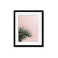 Picture of Leaves on Pink _GroupedProduct_Rectangle_Portrait_Photography _GroupedProduct_Rectangle_Portrait_Framed_Matted_
