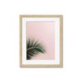 Picture of Leaves on Pink _GroupedProduct_Rectangle_Portrait_Photography _GroupedProduct_Rectangle_Portrait_Framed_Matted_