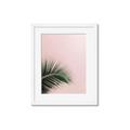 Picture of Leaves on Pink _GroupedProduct_Rectangle_Portrait_Photography _GroupedProduct_Rectangle_Portrait_Framed_Matted_