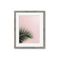 Picture of Leaves on Pink _GroupedProduct_Rectangle_Portrait_Photography _GroupedProduct_Rectangle_Portrait_Framed_Matted_
