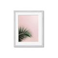 Picture of Leaves on Pink _GroupedProduct_Rectangle_Portrait_Photography _GroupedProduct_Rectangle_Portrait_Framed_Matted_