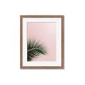 Picture of Leaves on Pink _GroupedProduct_Rectangle_Portrait_Photography _GroupedProduct_Rectangle_Portrait_Framed_Matted_