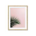 Picture of Leaves on Pink _GroupedProduct_Rectangle_Portrait_Photography _GroupedProduct_Rectangle_Portrait_Framed_Matted_