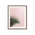 Picture of Leaves on Pink _GroupedProduct_Rectangle_Portrait_Photography _GroupedProduct_Rectangle_Portrait_Framed_Matted_