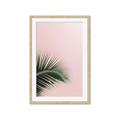 Picture of Leaves on Pink _GroupedProduct_Rectangle_Portrait_Photography _GroupedProduct_Rectangle_Portrait_Framed_Matted_