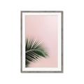 Picture of Leaves on Pink _GroupedProduct_Rectangle_Portrait_Photography _GroupedProduct_Rectangle_Portrait_Framed_Matted_