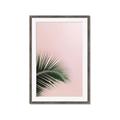 Picture of Leaves on Pink _GroupedProduct_Rectangle_Portrait_Photography _GroupedProduct_Rectangle_Portrait_Framed_Matted_