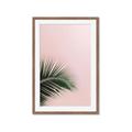 Picture of Leaves on Pink _GroupedProduct_Rectangle_Portrait_Photography _GroupedProduct_Rectangle_Portrait_Framed_Matted_