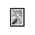 Picture of Look up Birch _GroupedProduct_Rectangle_Portrait_Photography _GroupedProduct_Rectangle_Portrait_Framed_Matted_